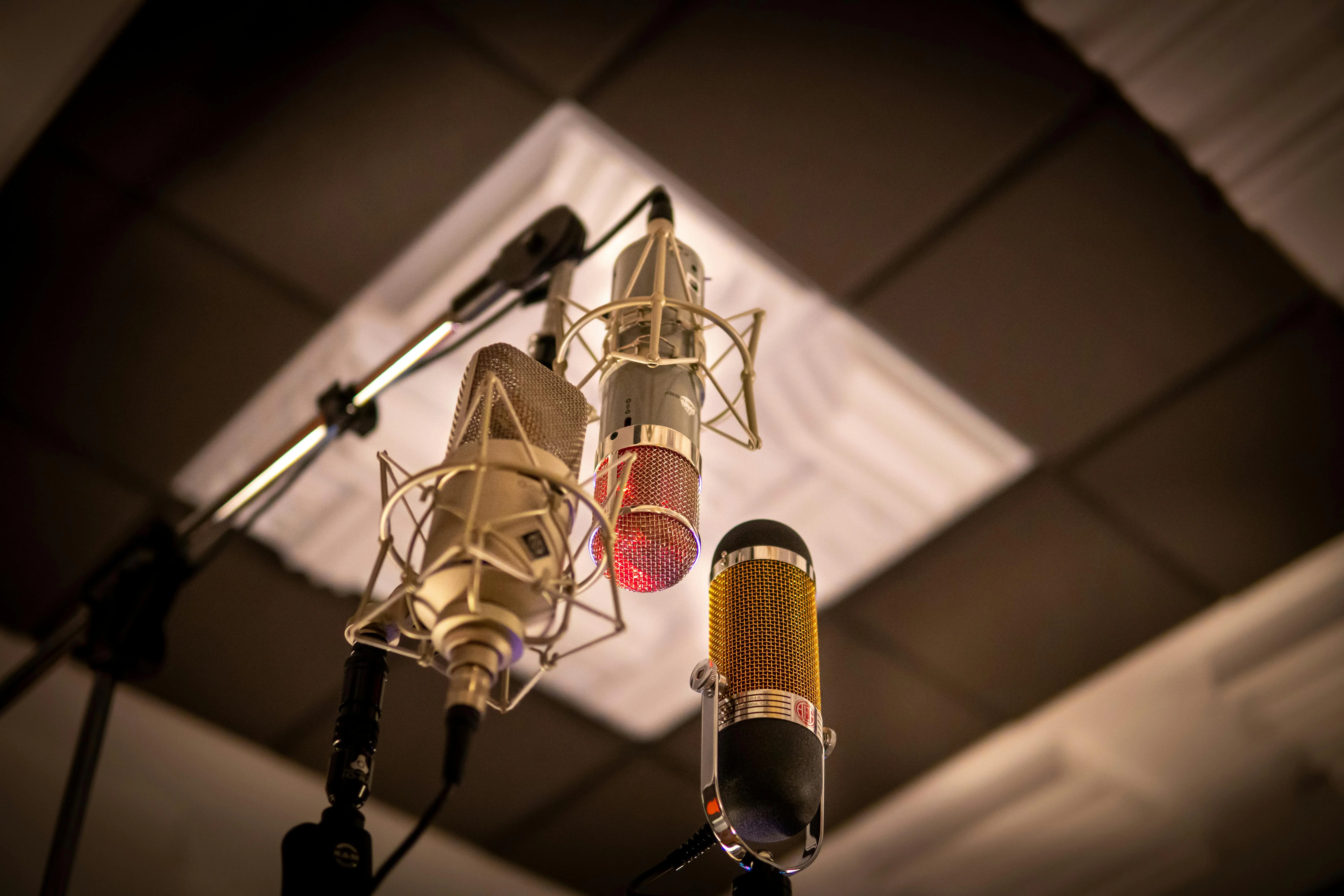 studio 14